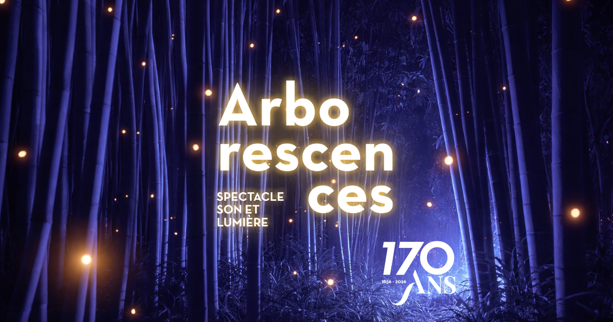 NOCTURNES : "ARBORESCENCES" NOCTURNES : "ARBORESCENCES"