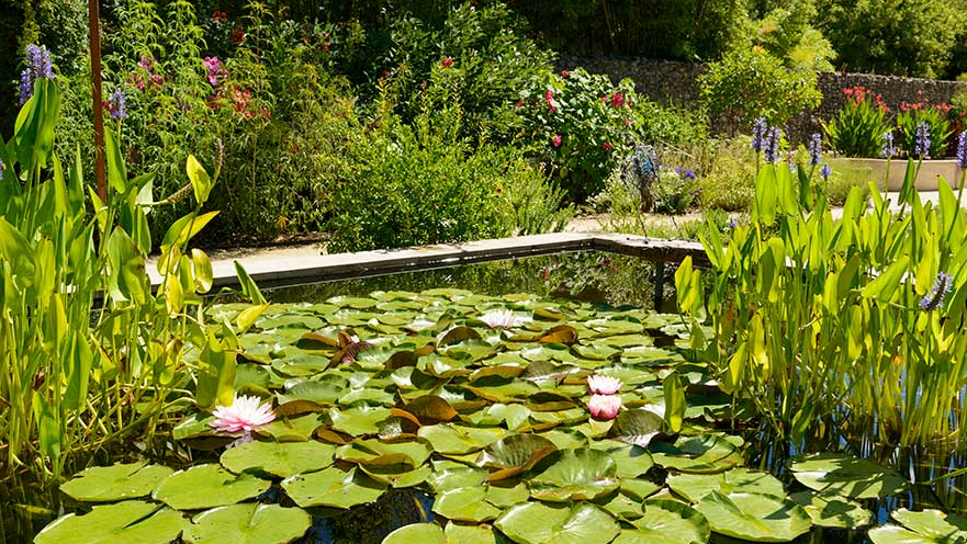 JARDIN DES BASSINS D’EUGÈNE