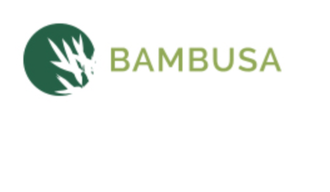 Bambusa Bambusa