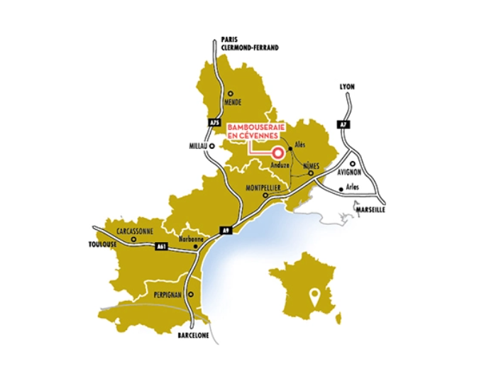 Carte Carte